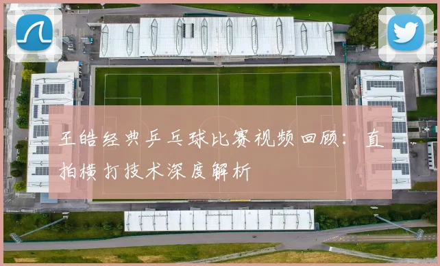 王皓经典乒乓球比赛视频回顾：直拍横打技术深度解析