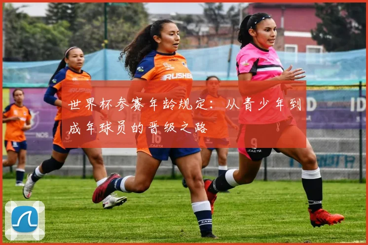 世界杯参赛年龄规定：从青少年到成年球员的晋级之路