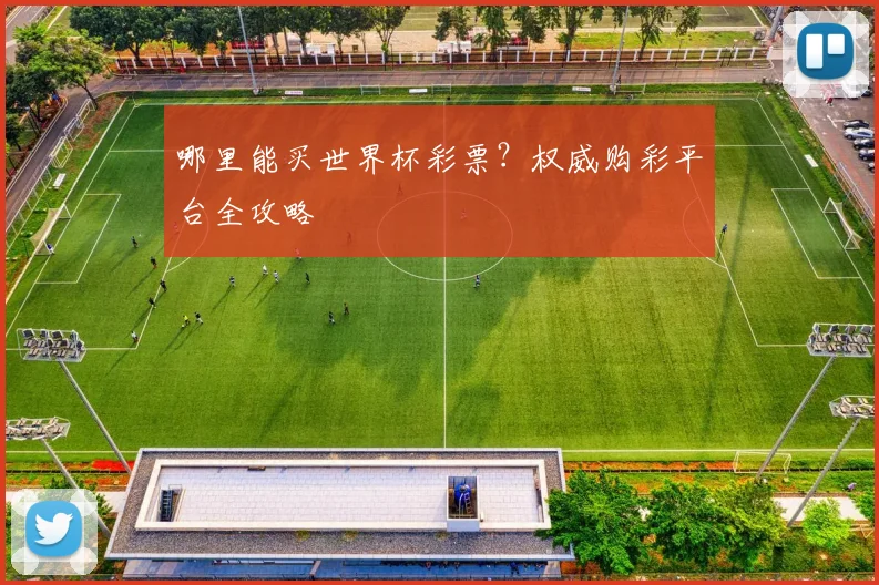 哪里能买世界杯彩票?权威购彩平台全攻略