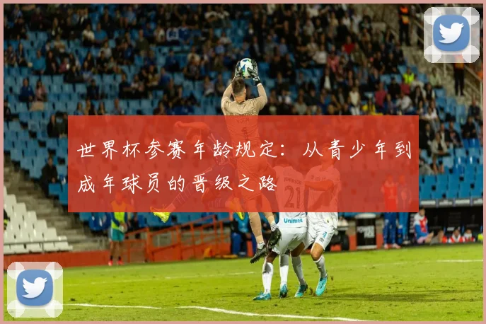世界杯参赛年龄规定：从青少年到成年球员的晋级之路
