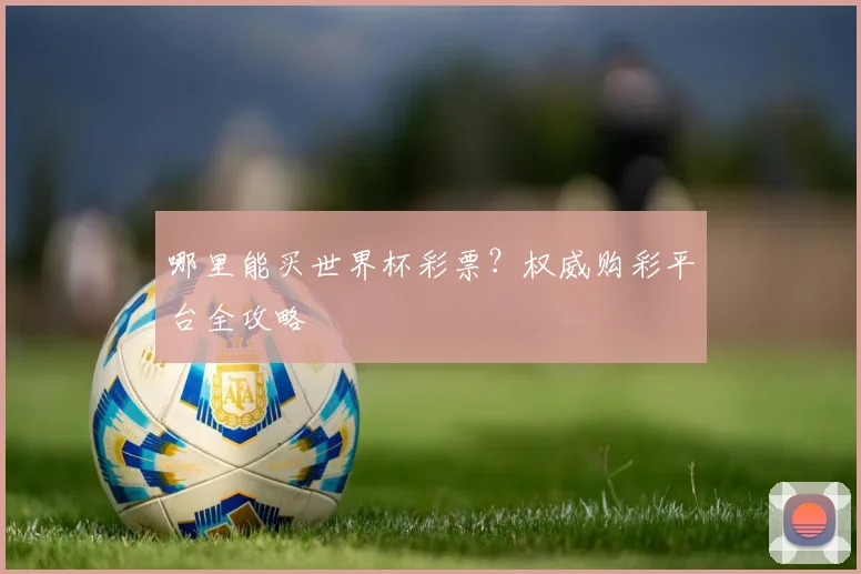 哪里能买世界杯彩票?权威购彩平台全攻略