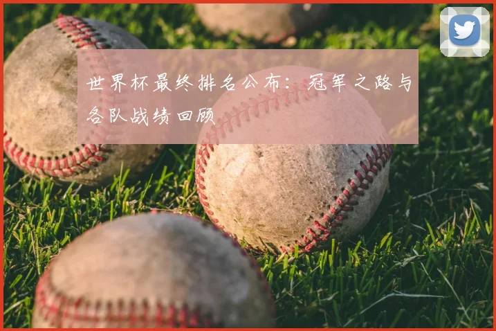 世界杯最终排名公布：冠军之路与各队战绩回顾